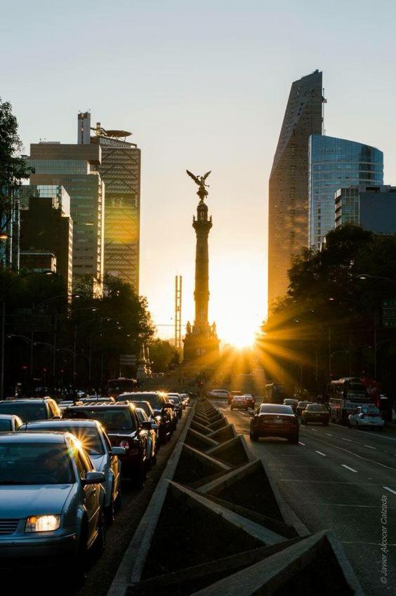 Modern Studio, Rooftop Charm, Cdmx Center2 Città del Messico Esterno foto