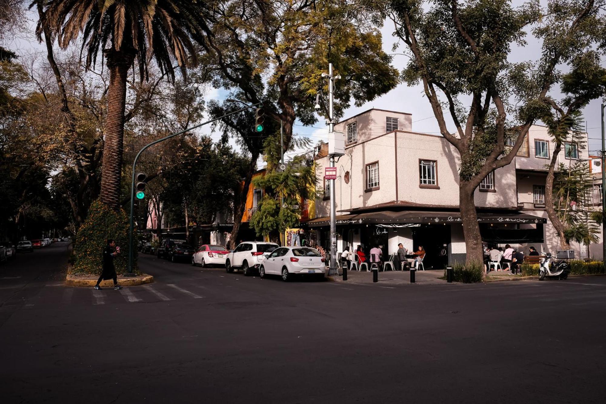 Modern Studio, Rooftop Charm, Cdmx Center2 Città del Messico Esterno foto