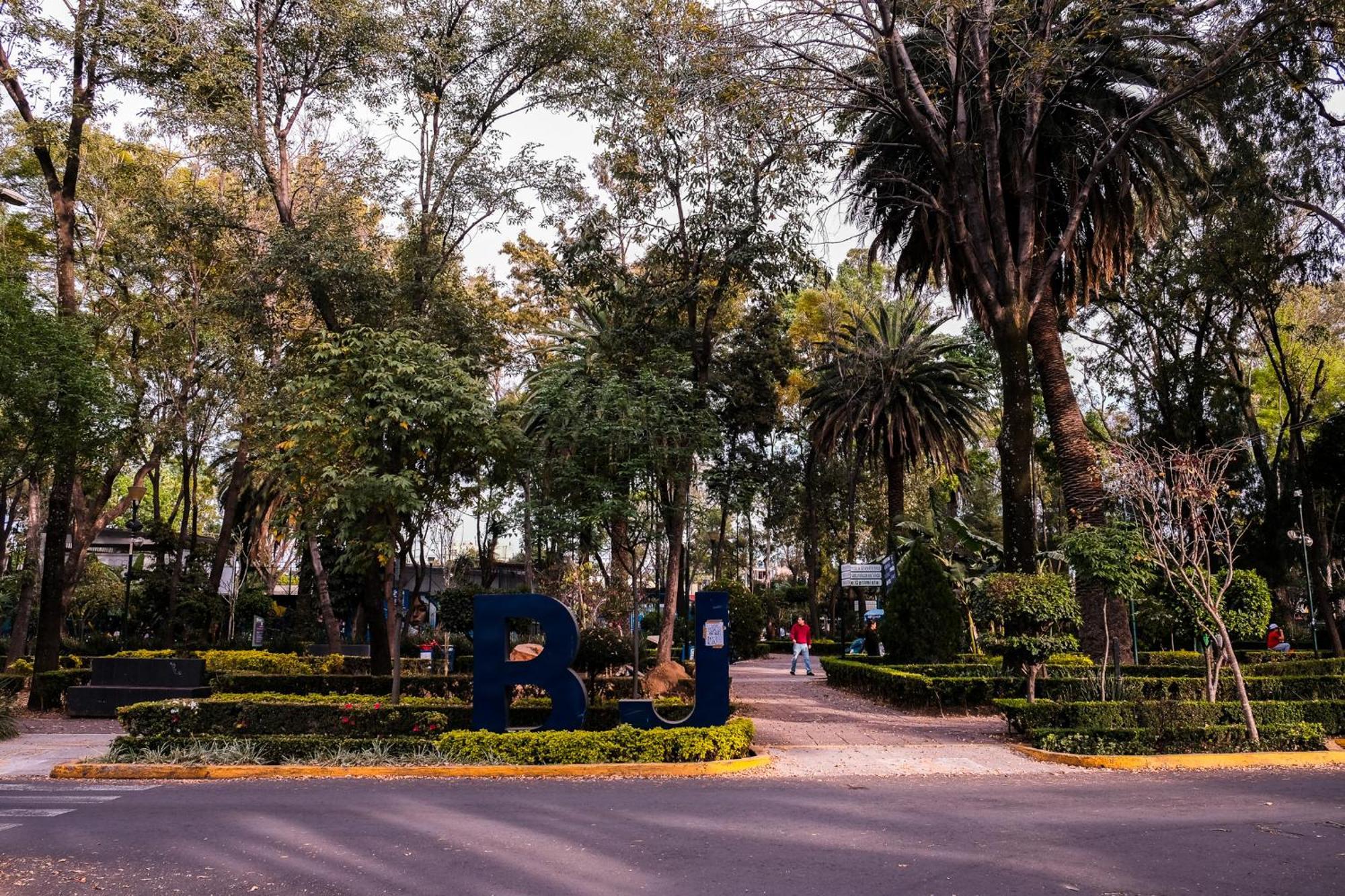 Modern Studio, Rooftop Charm, Cdmx Center2 Città del Messico Esterno foto