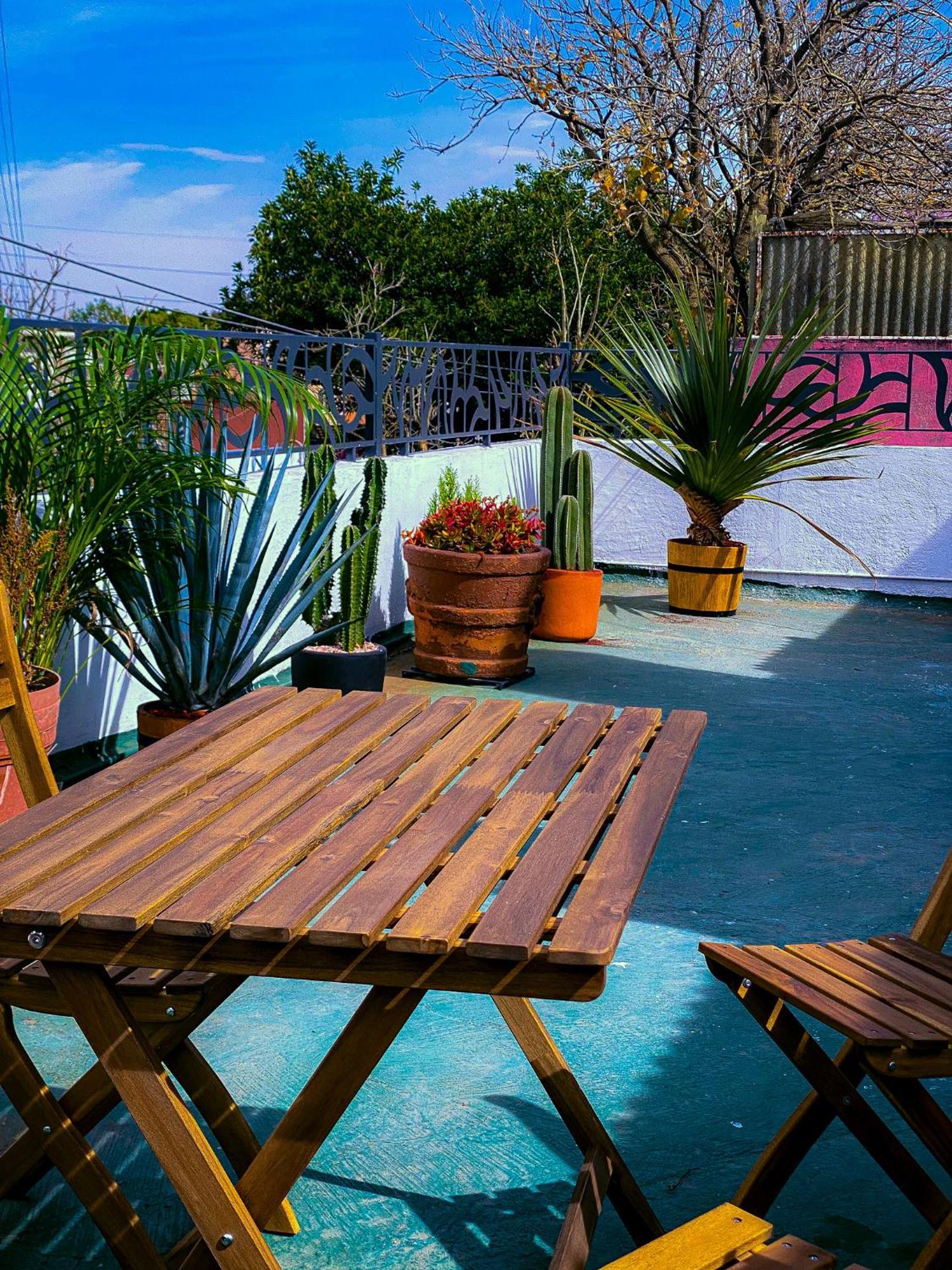 Modern Studio, Rooftop Charm, Cdmx Center2 Città del Messico Esterno foto